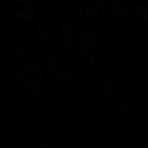 Meet your Posher, Nastacia